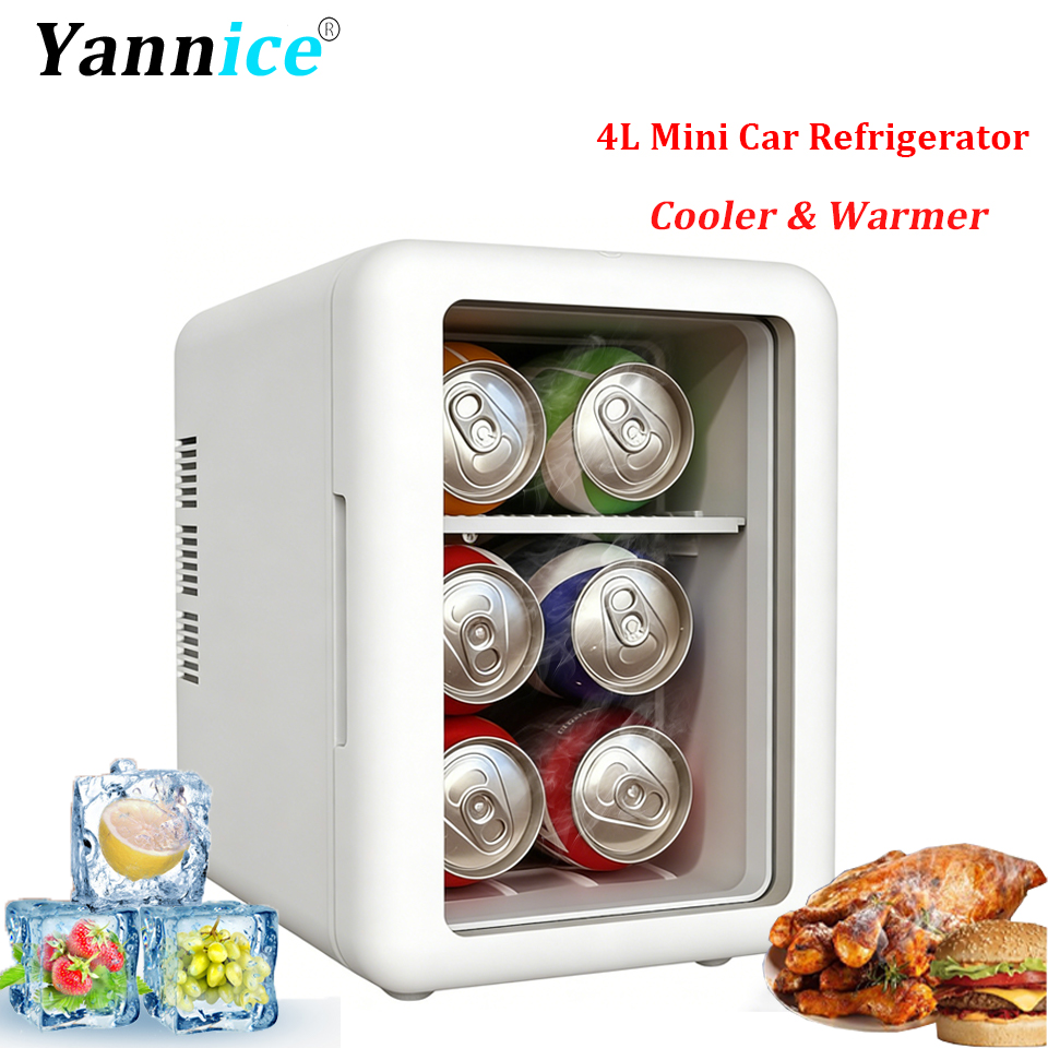 Mini Fridge with Transparent D – Beauty Makeup Fridge Bewertung und Preis