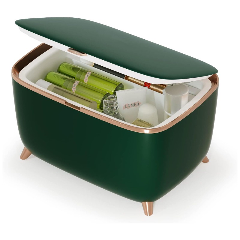 Mini Beauty Refrigerator for M – Beauty Makeup Fridge Bewertung und Preis
