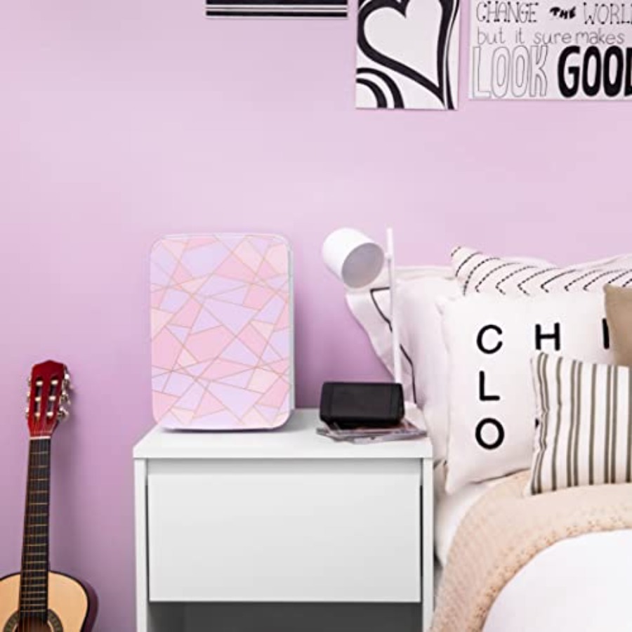 10L Mini Fridge for Bedroom -  – Beauty Makeup Fridge Bewertung und Preis