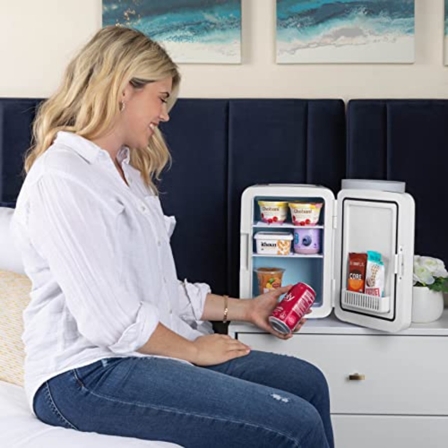 10L Mini Fridge for Bedroom -  – Beauty Makeup Fridge Bewertung und Preis