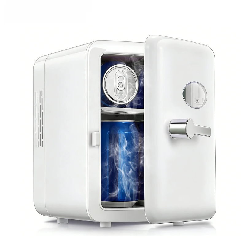 Portable 4L Mini Beauty Fridge – Beauty Makeup Fridge Bewertung und Preis