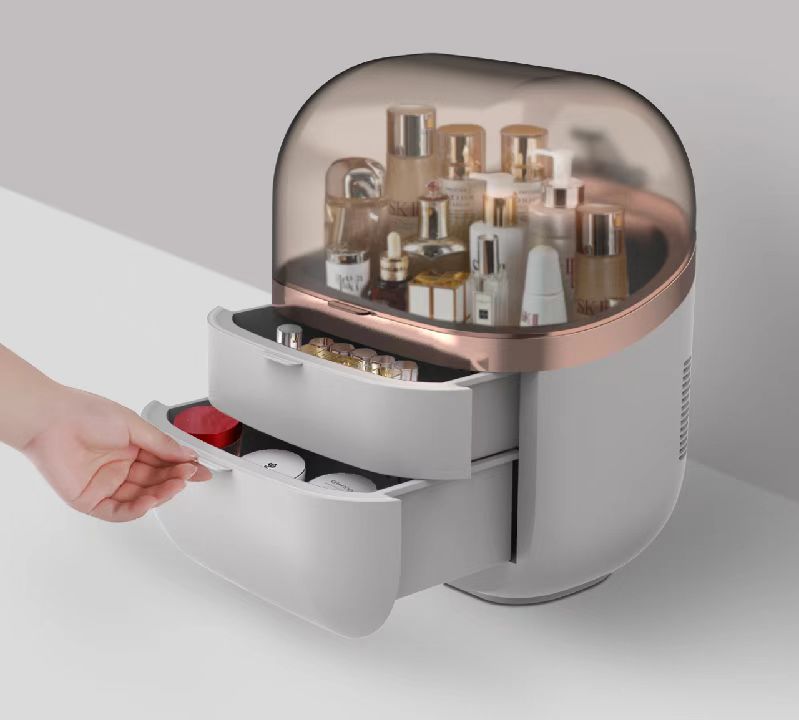 22L Portable Skincare Fridge - – Beauty Makeup Fridge Bewertung und Preis